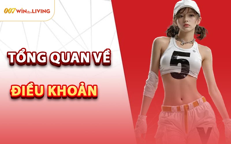 Tổng Quan Về Điều Khoản